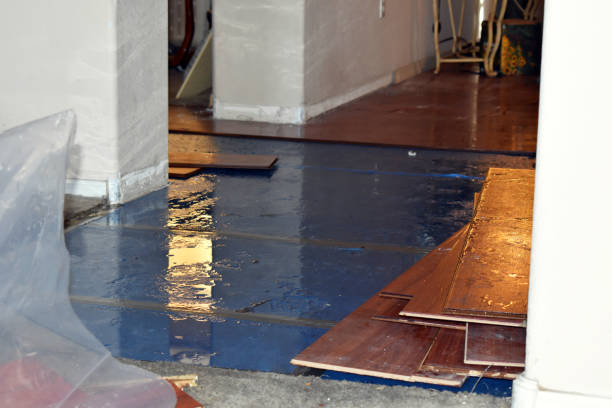 Professional Sewage Cleanup technician working in Myra, TX